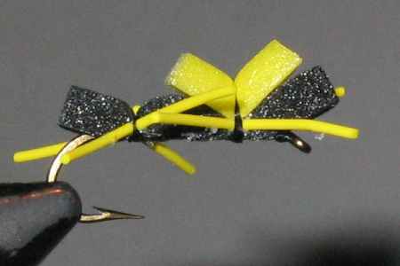 Image of Chernobyl Ant
