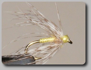 Yellow Soft Hackle image