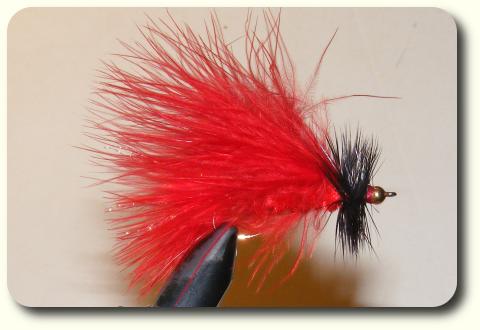 Guadalupe Red Marabou Leech